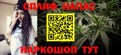 СК Будённовск