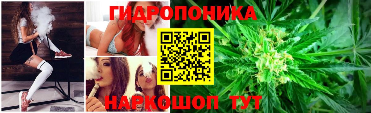 Бошки Шишки Amnesia Урюпинск